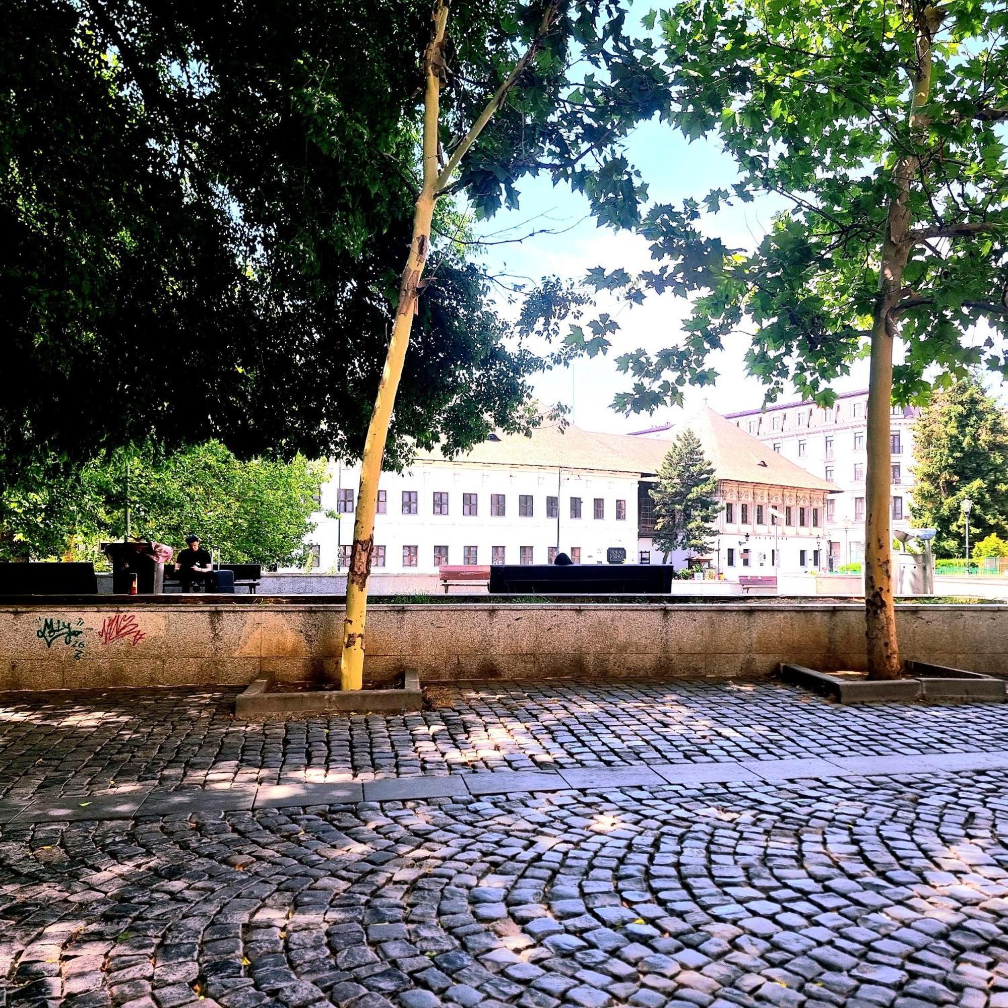 Enchanting Retreat - Historic Old Town - Pet-Friendly Haven - Steps From Unirii Bucharest Exterior photo