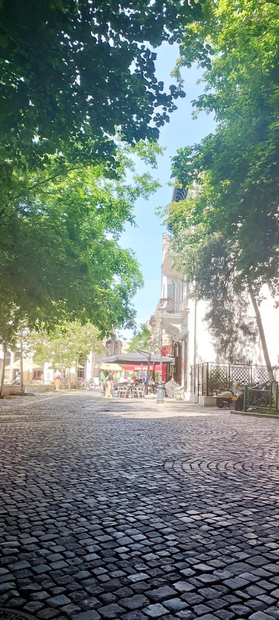 Enchanting Retreat - Historic Old Town - Pet-Friendly Haven - Steps From Unirii Bucharest Exterior photo
